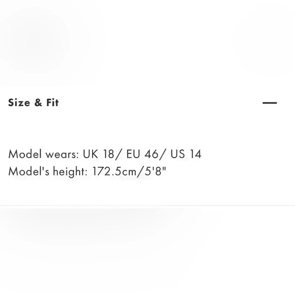 *NWT* Ever New Curve high waisted pants - Picture 11 of 12